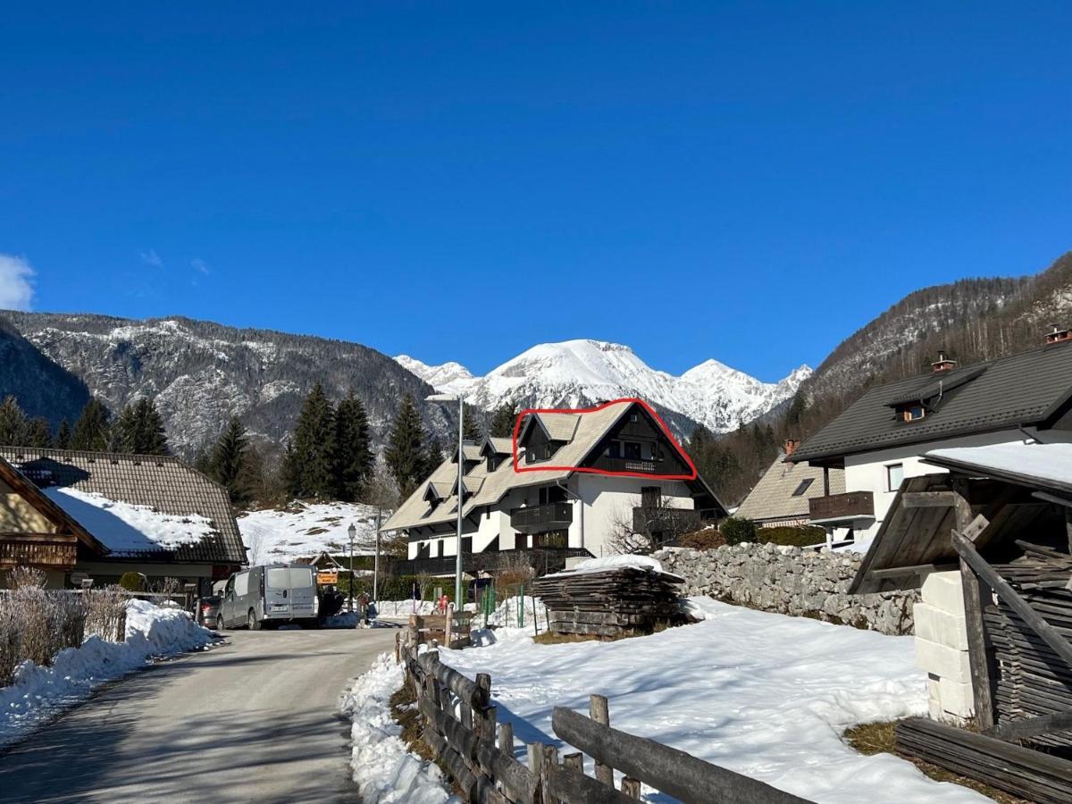 Gloria Holiday - Apartment Bohinj Bagian luar foto